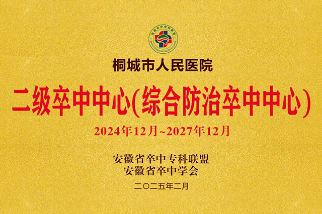 桐城市人民医院晋级“二级卒中中心”，为区域群众健康添保障
